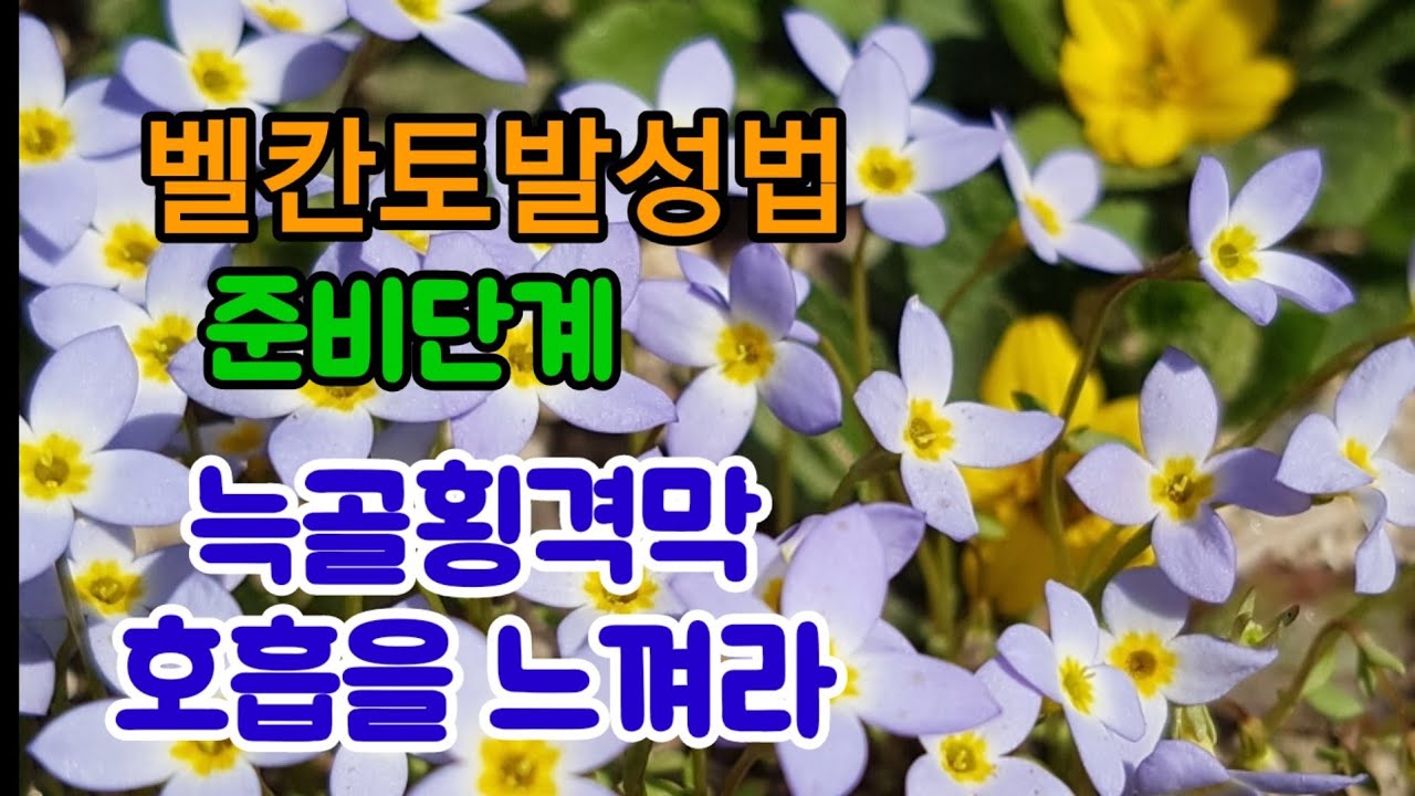 2.늑골 횡격막 호흡을 느껴라 왕초보를 위한 벨칸토 발성법 준비단계