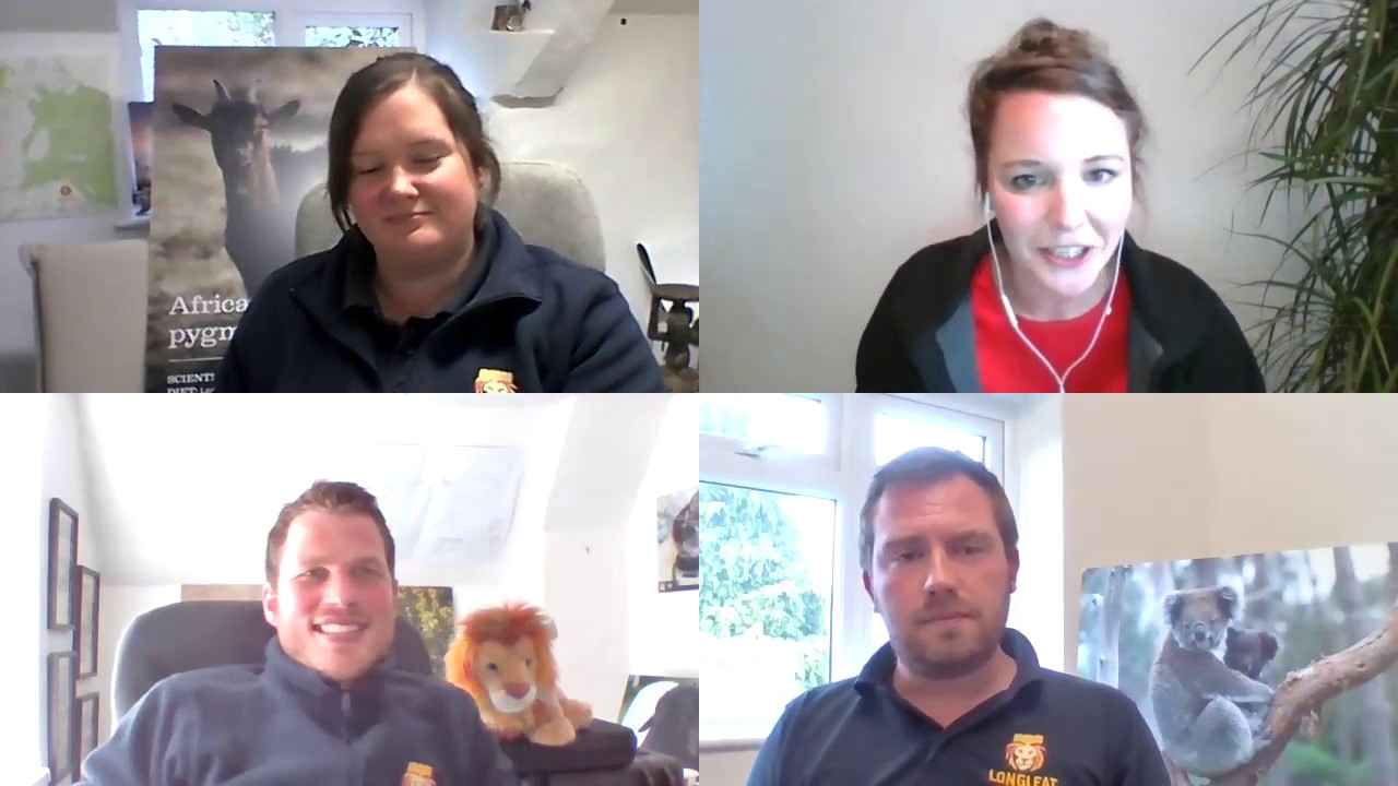 Longleat's Live Q&A with keepers (24th April 2020)
