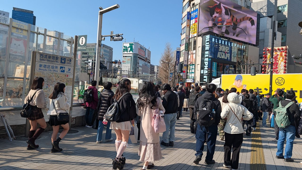 【高画質FHDお散歩ライブカメラ】新宿　散歩　Shinjyuku walking【live camera】2026/03/11