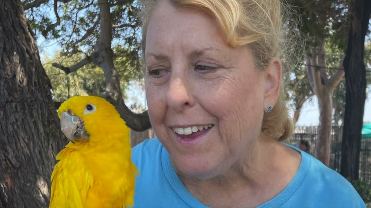 FF promo for birdfest