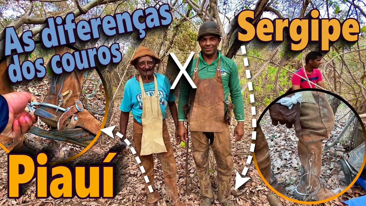 Os couros do Piauí é Muito Fino - A Perneira é  diferente do Sergipano