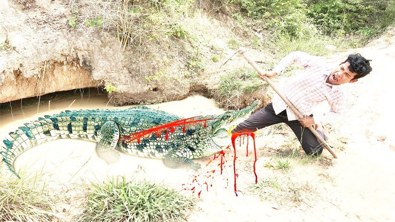 The First DIY Crocodile Trap Using Plastic U 90 Tank & Baby Duck That Work 100% By