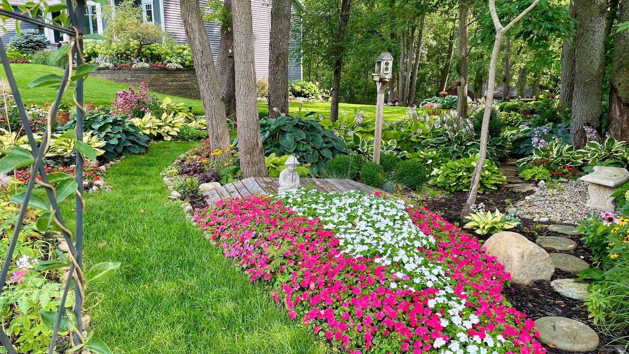 A Walk Around the Garden. Taking Notes on What Needs to be Done!📝Moving Plants to Better Locations!