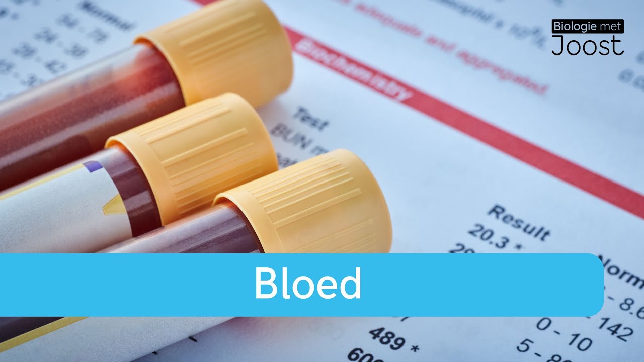 Alles over bloed | Rode en witte bloedcellen, bloedplaatjes en bloedplasma | Samenvatting