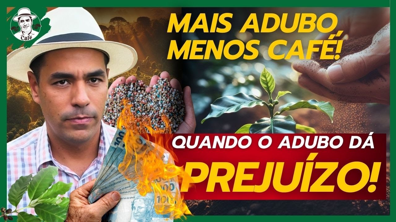 Mais adubo, menos café! Quando a adubo dá prejuízo.