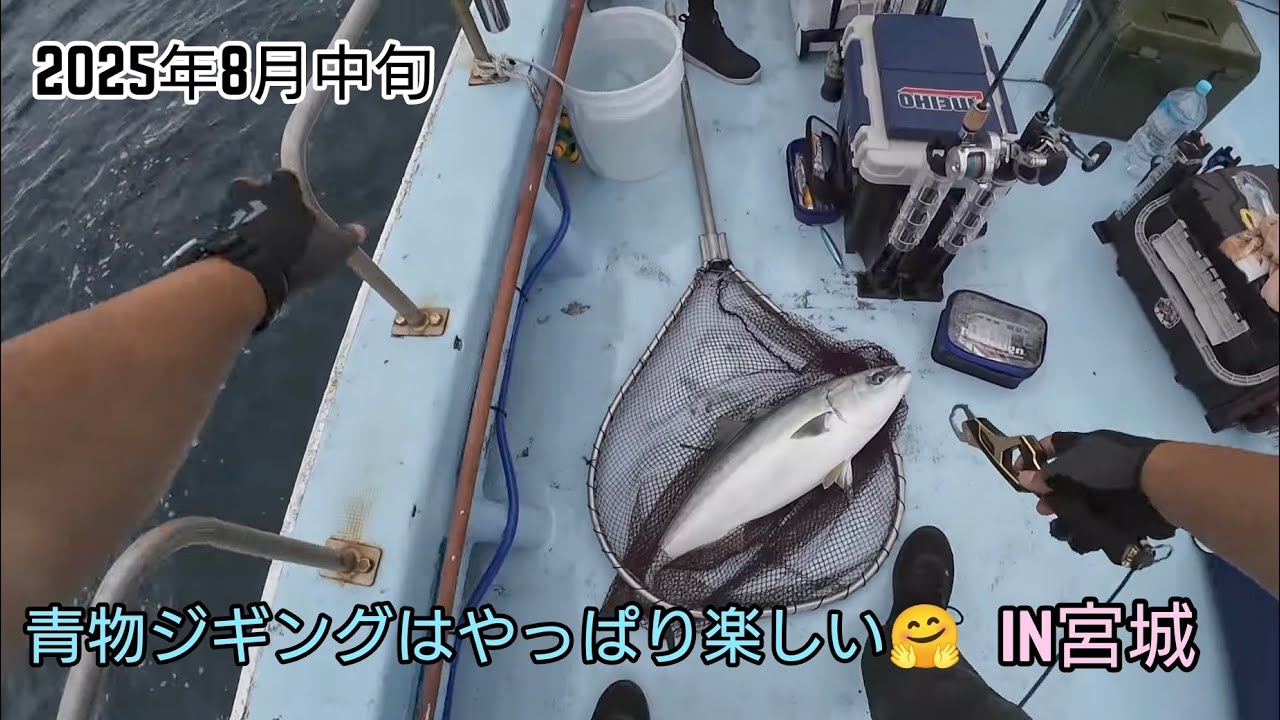 ブリがやってきた「宮城」