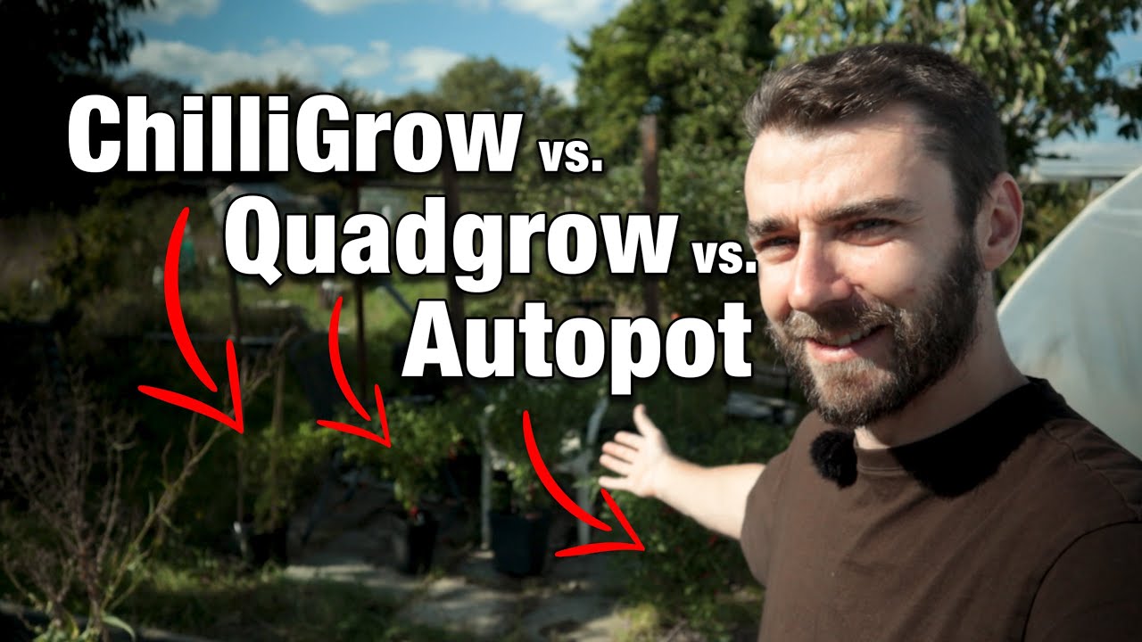 Self-Watering Showdown! | Comparing ChilliGrows, Quadgrows and Autopots | Easy Allotment Watering