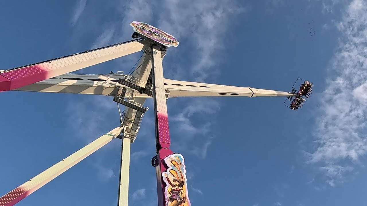 Evolution - Fackler ( Offride / POV ) [ Pferdemarkt Bietigheim-Bissingen 2024 ]