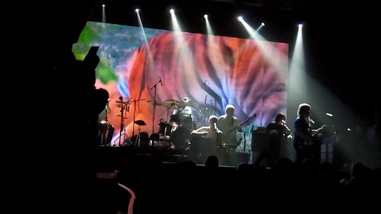Федор Чистяков live @Aurora SPb 25.02.2017 2109