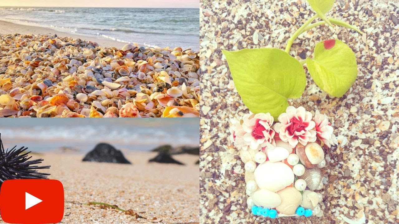 hand craft ideas for home decor/ wall decor with seashells/ seashell craft wall hanging