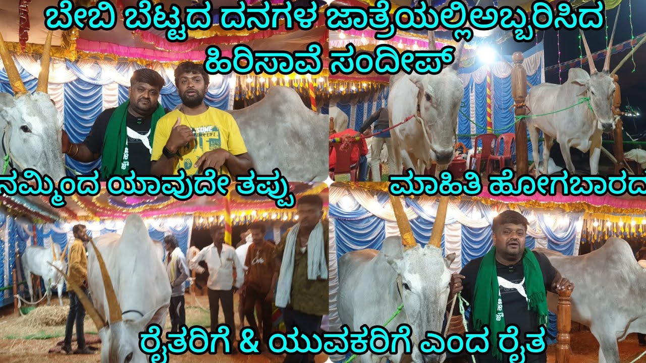  ಅಬ್ಬರಿಸಿದ ಹಿರಿಸಾವೆ ಸಂದೀಪ್.ಯಾವತ್ತು ನಮ್ಮಿಂದ ತಪ್ಪು ಮಾಹಿತಿ ಬರಬಾರದು ನಮ್ಮನ್ನ ಫಾಲೋ ಮಾಡೋರುತುಂಬಾ ಜನಇರುತ್ತಾರೆ