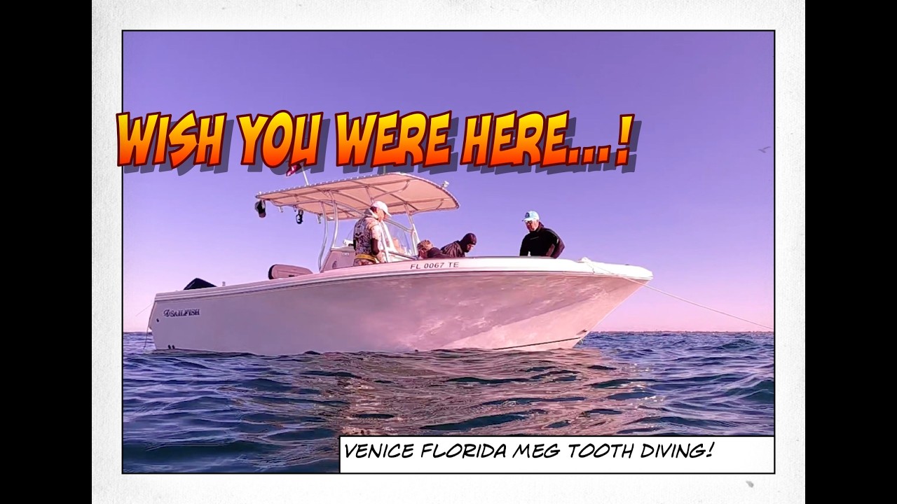 Crazy GOOD Visibility! I can actually see the Shark Teeth!