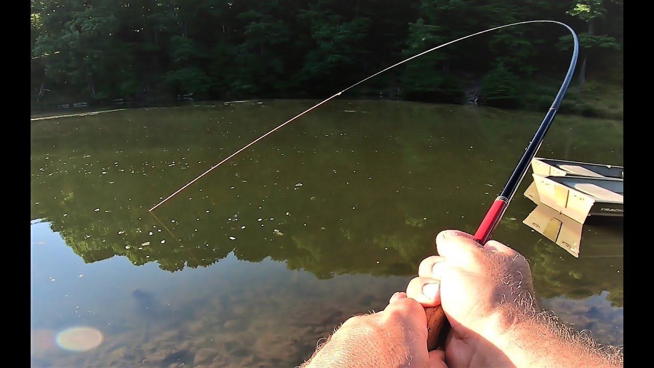 Tenkara fishing at Tomlinson Run WV