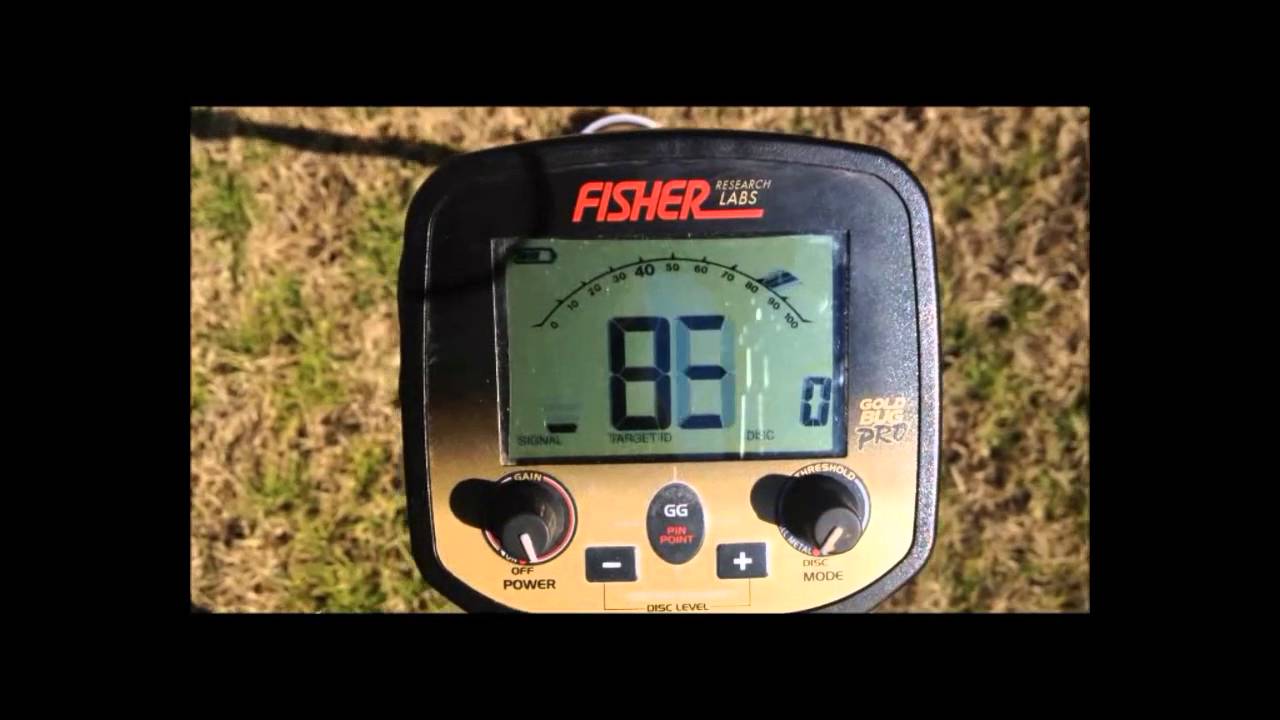 FisherGold Bug Pro VS The Ring Field
