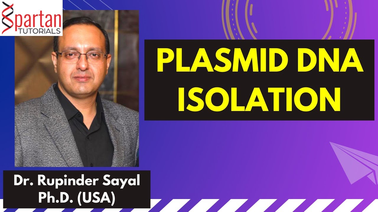 Isolation of Plasmid DNA