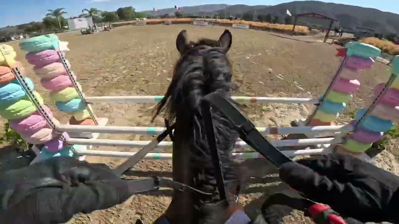 2025 Retrospective - 7 Events, 3 - 1 Days, Rookie Horse Rookie Rider