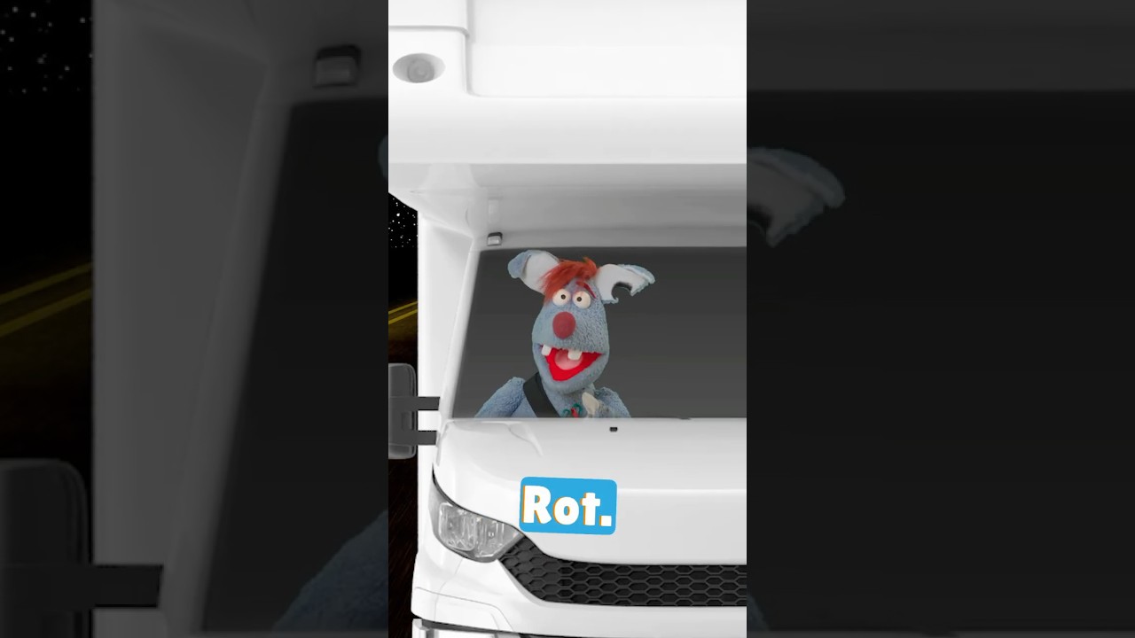 4 Arten von Beifahrern 🚗🚨🫣