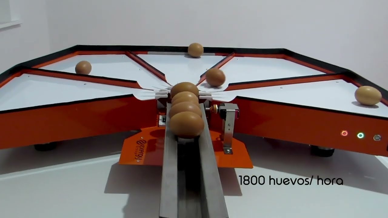 Máquina clasificadora de huevos electrónica - Exergy Group