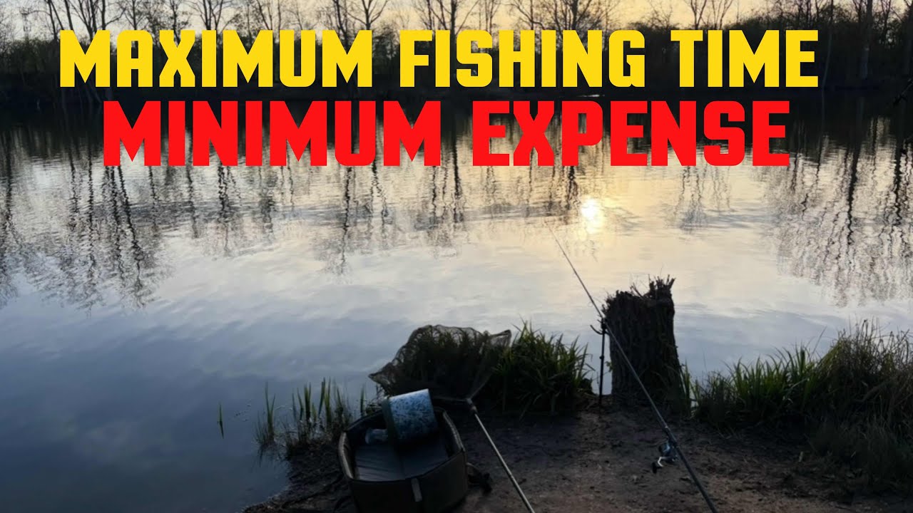 Ловля карпа с использованием бойлов: просто и экономично