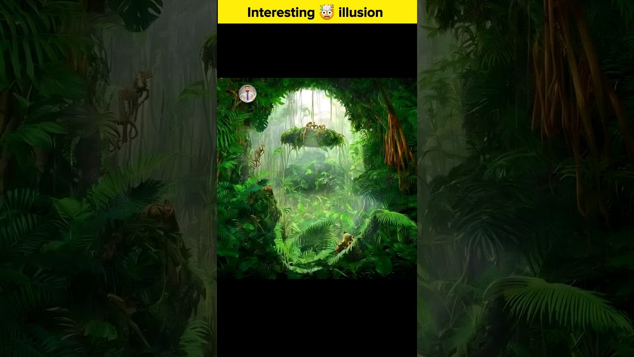 Treasure Trove of Awesome Memories illusion😵🤯 
