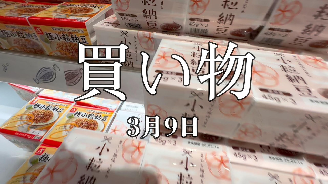 （520）買い物　3月9日
