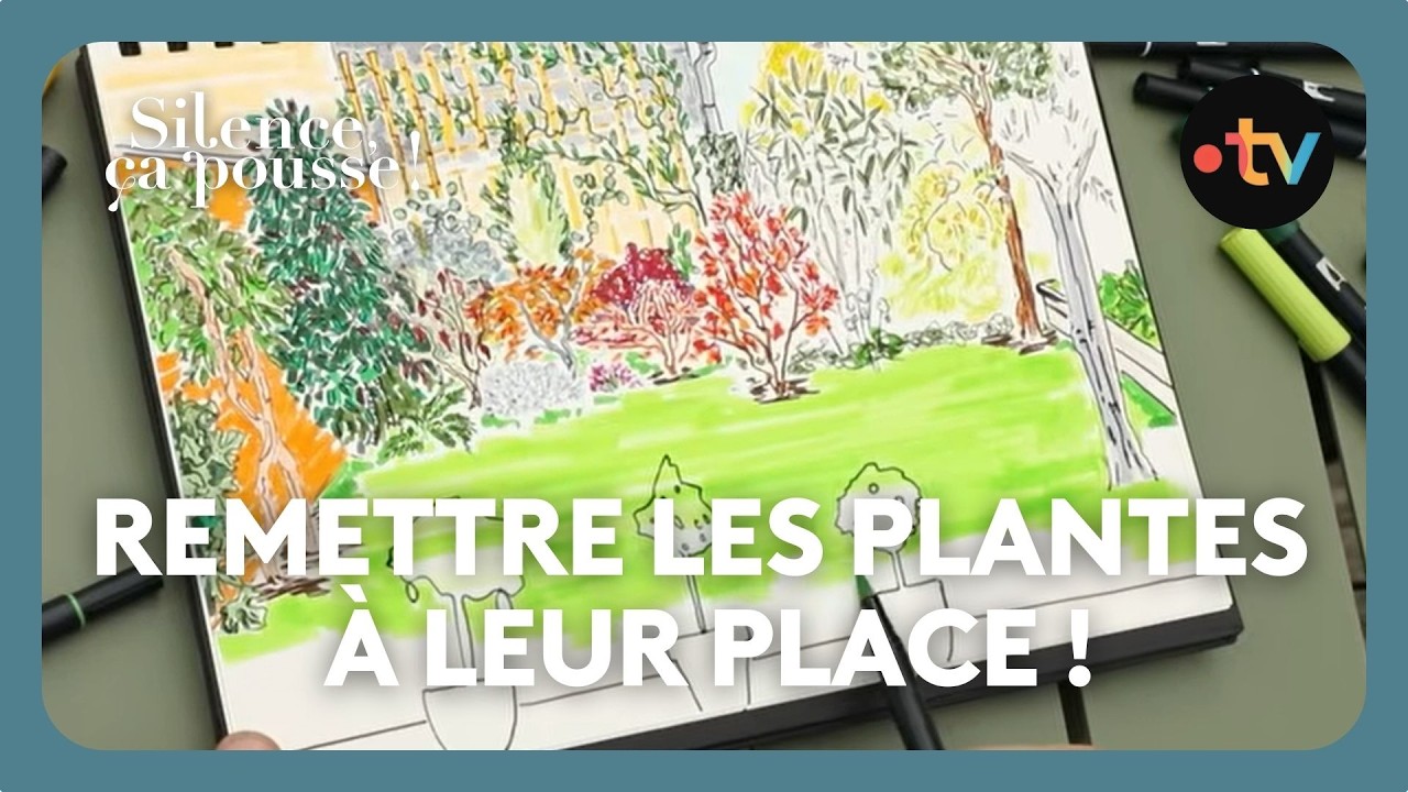 Pas de panique : Remettre les plantes à leur place ! - Silence ça pousse !7 Mars 2026