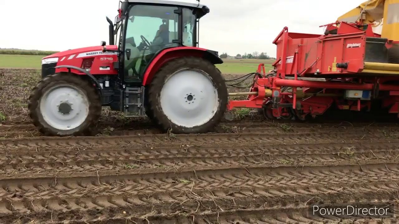 KOPANIE ZIEMNIAKÓW/POTATO HARVESTING 2020|Grimme SE 75-20,Massey Ferguson 5710,Case Maxxum 115