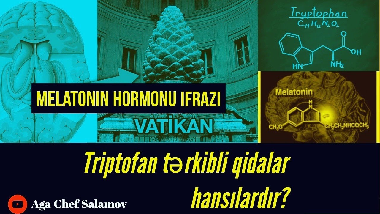 Triptofan tərkibli qidalar  hansılardır?/Tryptophan-containing foods that secrete the hormon