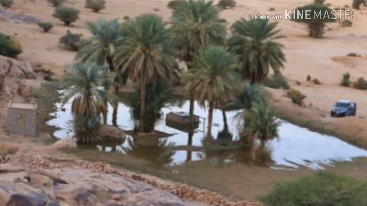 المعمور وسعيد المعمور الجزء الثاني