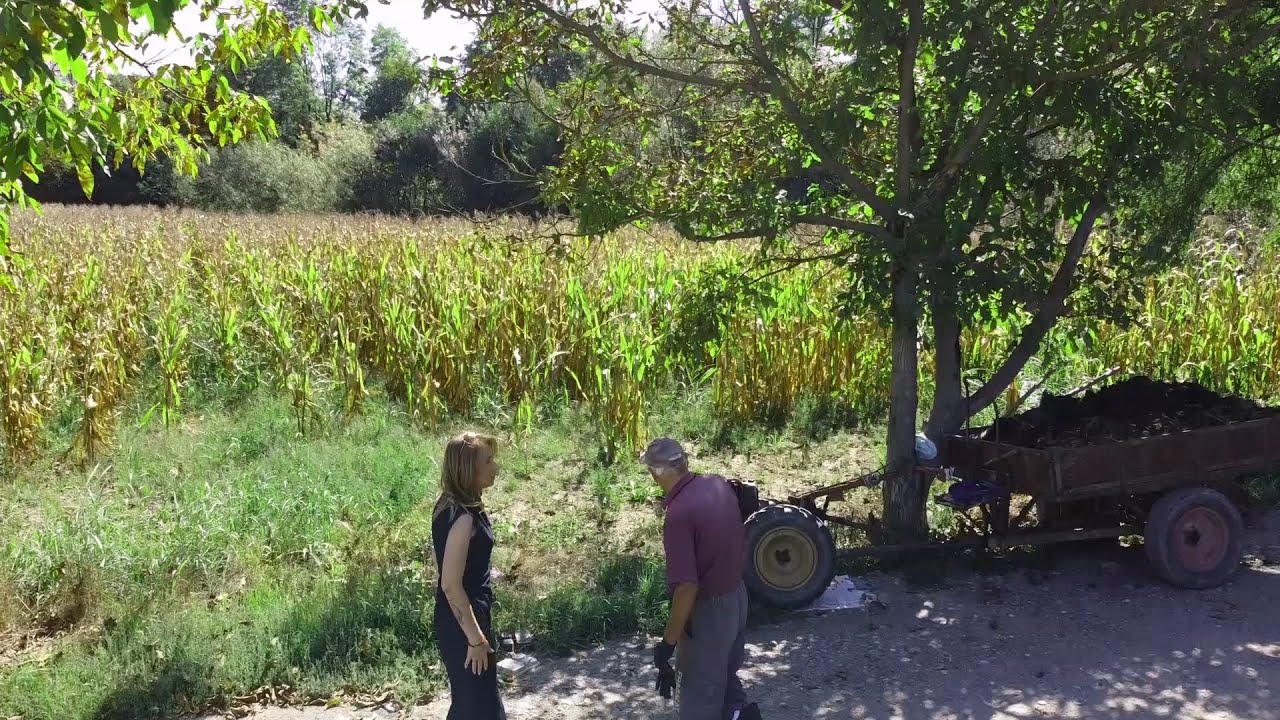 PRILOG VRT - NOVOSELSKE NjIVE KRAJ MORAVE