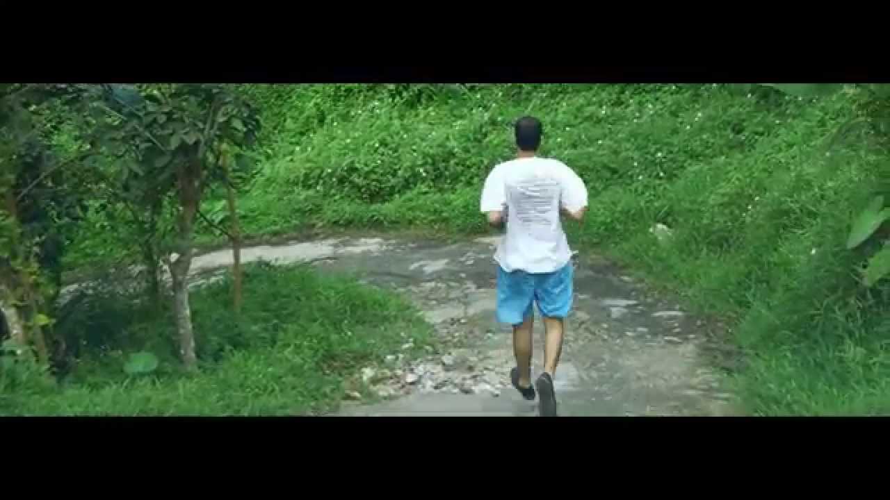 PIGEONS in the Indonesian Forest