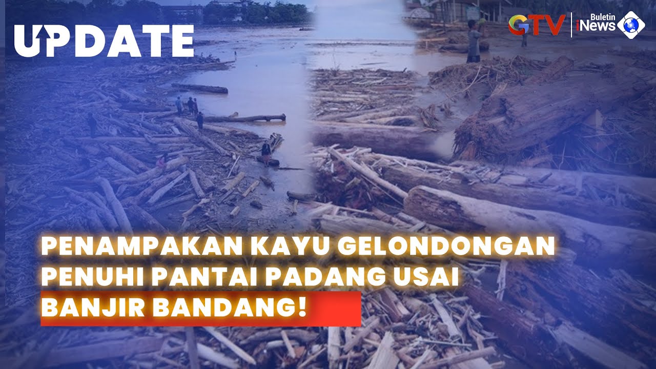 Ribuan Kayu Gelondongan Penuhi Pantai Padang Usai Banjir Bandang
