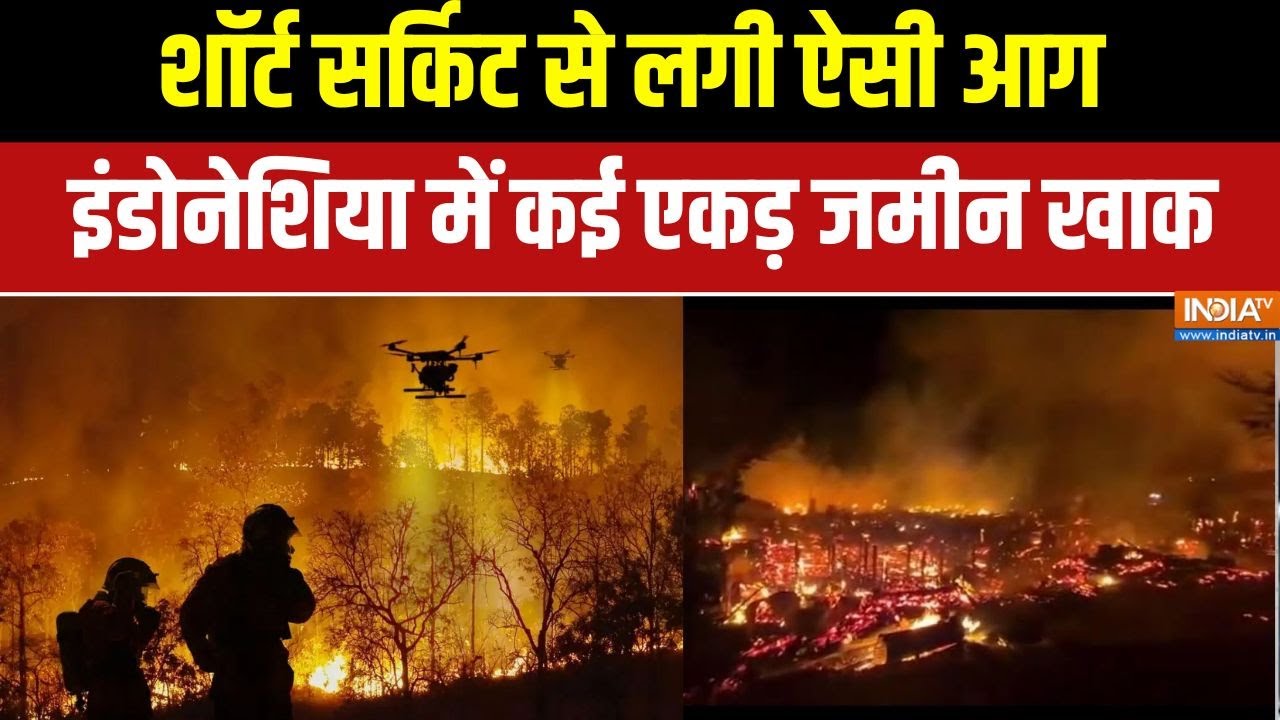 Indonesia Fire: शॉर्ट सर्किट से लगी ऐसी आग इंडोनेशिया में कई एकड़ जमीन खाक