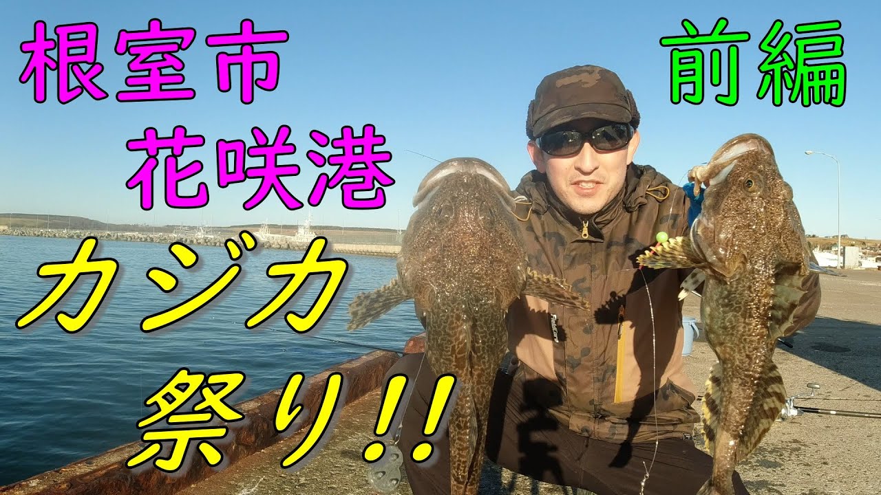 【海釣特攻隊】初冬の投げ釣り！！北海道根室市花咲港でカジカ爆釣！！アイナメ、チカも【前編】
