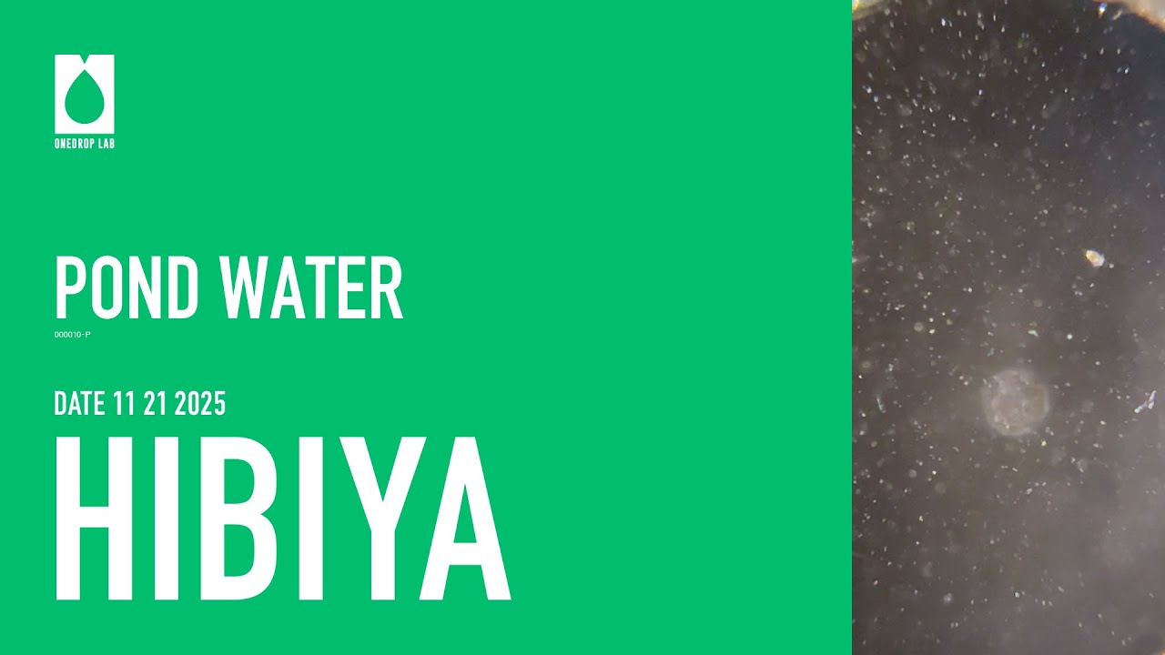 ［000010-P］11/21/2025 POND WATER-HIBIYA