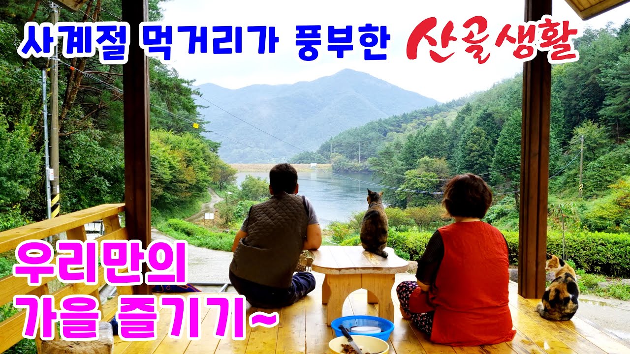 사계절 먹거리가 풍부한 산골생활! 우리만의 가을 즐기기~ 밤줍기
