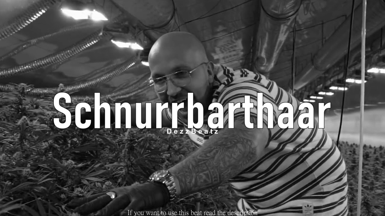 Schnurrbarthaar - Funky West Coast Boom Bap Hip Hop Oldschool Plusmacher type Beat - DezzBeatz