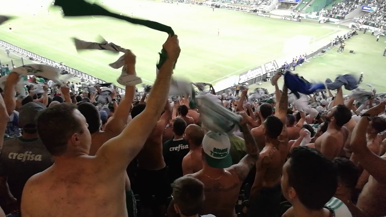 Meu Palmeiras, Você é meu bem querer, Eu vou falar para todo o mundo - Mancha Alvi Verde