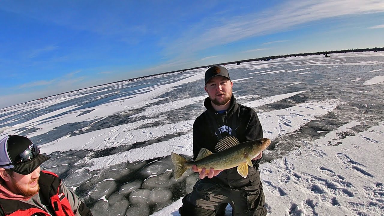 First Ice Red Lake Walleyes 2020