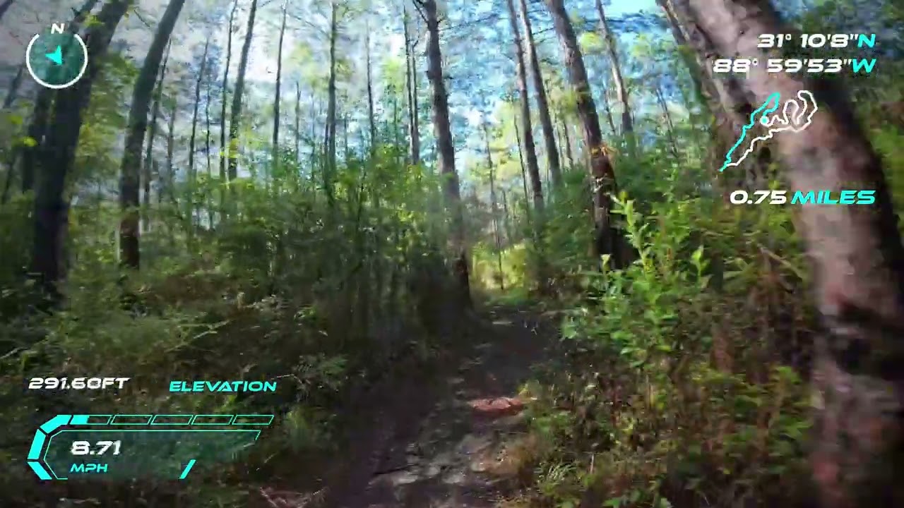 Rattlesnake Bay OHV trail. Short loop