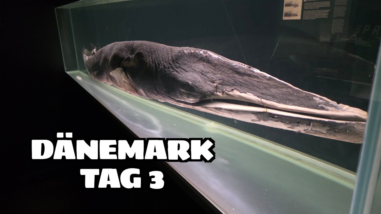 Dänemark Urlaub Tag 3 - Fischerei- und Seefahrtsmuseum Esbjerg