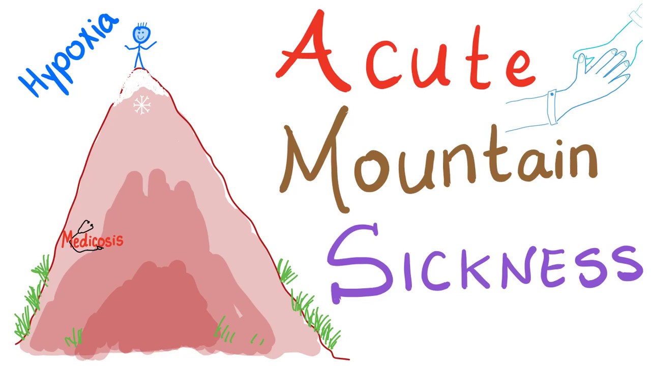 Acute Mountain Sickness (AMS) - What Happens to your Body Up There 👆
