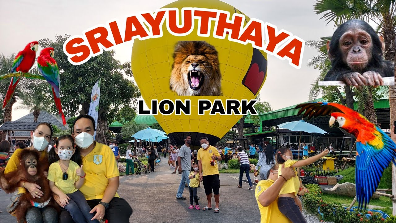 บราวนี่น้อย | เที่ยววันหยุดสวนสัตว์เปิดใหม่ ศรีอยุธยา ไลอ้อน ปาร์ค