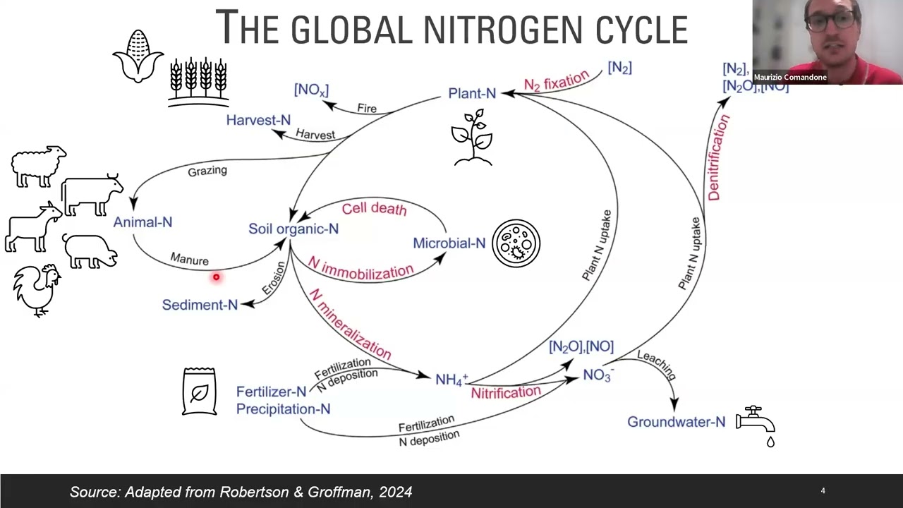 Nitrogen variable rate technology with Maurizio Comandone.