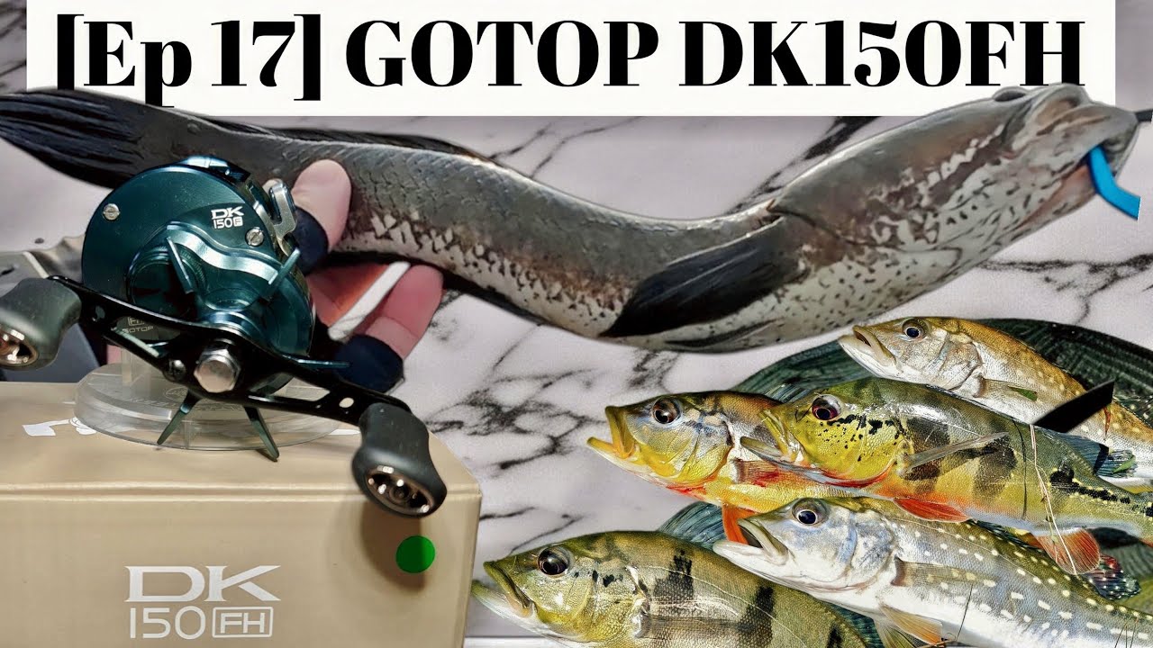 [Ep 17] GOTOP DK150FH Field Test & Got Lucky Today!