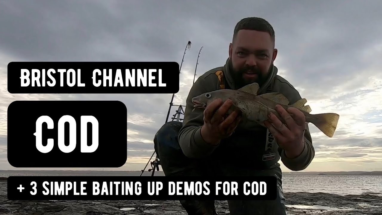 First Cod Of The Winter......Bristol Channel Cod Fishing & Baiting Up Demos.