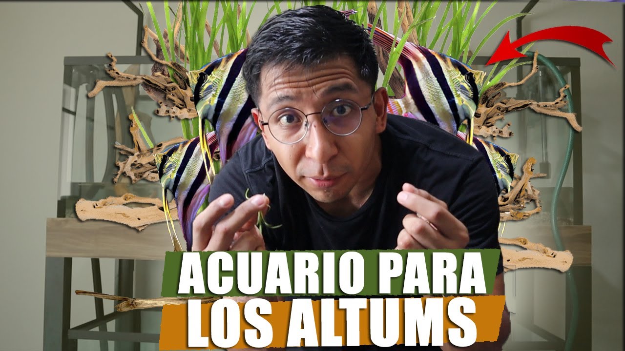 Comenzamos Con El Montaje De Los Acuarios 😍