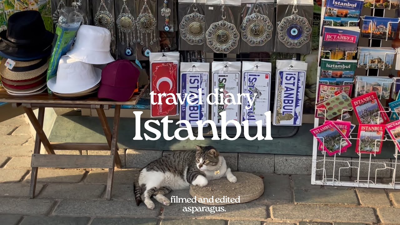 travel diary | Istanbul 🐈‍⬛ How many cat will I meet in 4 hrs in Istanbul?