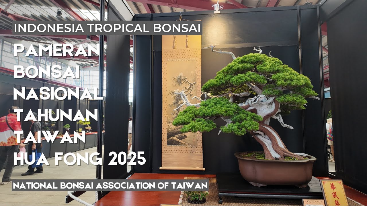 Pameran Nasional Tahunan Bonsai Taiwan ,Huafong 2025
