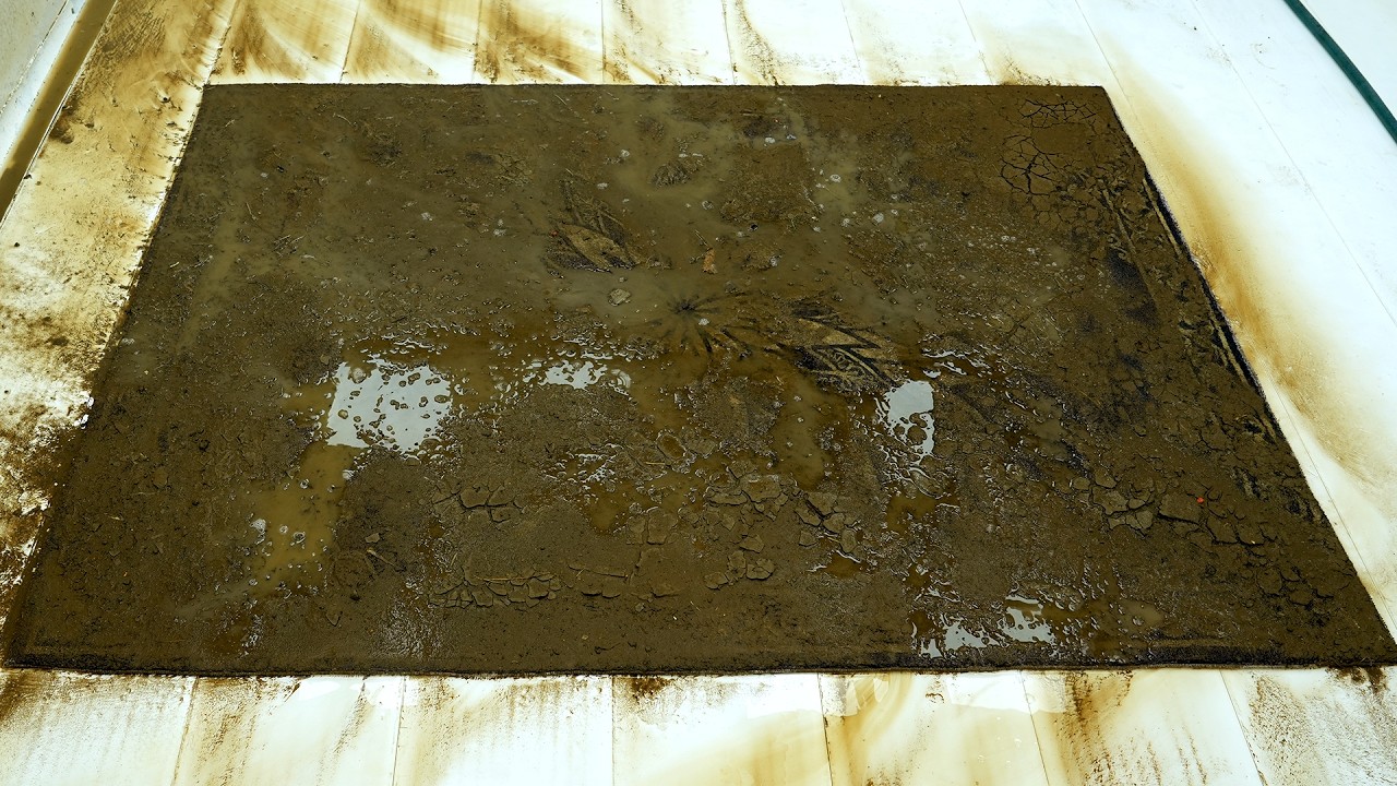 Extreme Carpet Cleaning &ndash; Buried Under Layers of Thick Brown Sludge &ndash; Watch the Color Come Back